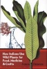 How Indians Use Wild Plants for Food, Medicine and Crafts (Paperback, New edition) - Frances Densmore Photo