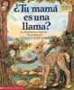 Tu Mama Es Una Llama? (Is Your Mama a Llama?) (English, Spanish, Hardcover, Turtleback Scho) - Deborah Guarino Photo