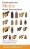 Concise Guide to the Moths of Great Britain and Ireland (Paperback) - Martin Townsend Photo