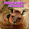 Baby Animals in Pouches (Hardcover) - Martha E H Rustad Photo