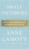 Small Victories - Spotting Improbable Moments of Grace (Hardcover) - Anne Lamott Photo