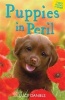 Puppies in Peril - Pup at the Palace & Dog at the Door (Paperback) - Lucy Daniels Photo