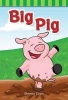 Big Pig (Paperback) - Sharon Coan Photo