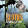 Sloths Calendar 2017 - 16 Month Calendar (Paperback) - David Mann Photo