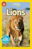 Lions (Paperback) - Laura Marsh Photo