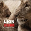 Lion Cubs Calendar 2017 - 16 Month Calendar (Paperback) - David Mann Photo