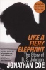 Like A Fiery Elephant - The Story of B.S.Johnson (Paperback, Unabridged) - Jonathan Coe Photo