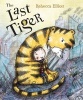 The Last Tiger (Paperback) - Rebecca Elliott Photo