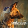 Underdogs - The Fight to Save South Africa's Wild Dogs (Hardcover) - Neil Aldridge Photo