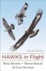 Hawks in Flight (Hardcover, 2nd) - David Sibley Photo