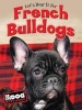 French Bulldogs (Hardcover) - Robin Koontz Photo