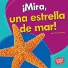 Mira, Una Estrella de Mar! (Look, a Starfish!) (English, Spanish, Hardcover) - Tessa Kenan Photo