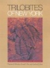 Trilobites of New York - An Illustrated Guide (Hardcover) - Thomas E Whiteley Photo