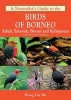 A Naturalist's Guide to the Birds of Borneo (Paperback) - Wong Tsu Shi Photo