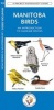 Manitoba Birds - A Folding Pocket Guide to Familiar Species (Pamphlet) - James Kavanagh Photo