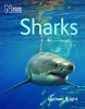 Sharks (Paperback, Revised and reformatted ed with the latest research, new images and up-to-date text) - Michael Bright Photo