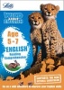 Letts Wild About - English - Reading Comprehension Age 5-7 (Paperback) - Letts KS1 Photo