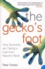 The Gecko's Foot - How Scientists are Taking a Leaf from Nature's Book (Paperback) - Peter Forbes Photo