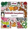 Animals Everywhere: Opposites (Hardcover) - Lizelot Versteeg Photo