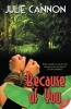 Because of You (Paperback) - Julie Cannon Photo