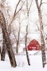 A Red Barn in the Snow Winter Journal - 150 Page Lined Notebook/Diary (Paperback) - Cs Creations Photo