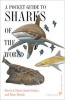 A Pocket Guide to Sharks of the World (Paperback) - David A Ebert Photo