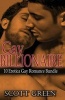 Gay Billionaire - 10 Erotica Gay Romance Bundle (Paperback) - Scott Green Photo