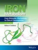 Iron Metabolism - From Molecular Mechanisms to Clinical Consequences (Hardcover, 4th Revised edition) - Robert Crichton Photo