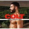 Hairy Chested Men (Hardcover) - Colt Photo