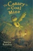 Canary in the Coal Mine (Hardcover) - Madelyn Rosenberg Photo