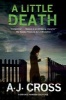 A Little Death - A Forensic Cold-Case Mystery Featuring Dr Kate Hanson (Hardcover) - AJ Cross Photo