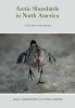 Arctic Shorebirds in North America - A Decade of Monitoring (Hardcover, New) - Jonathan Robert Bart Photo