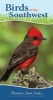 Birds of the Southwest Quick Guide (Spiral bound) - Stan Tekiela Photo