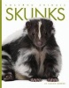 Skunks (Paperback) - Valerie Bodden Photo