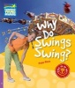 Why Do Swings Swing? Level 4 Factbook, Level 4 (Paperback) - Peter Rees Photo