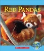 Red Pandas (Hardcover) - Josh Gregory Photo