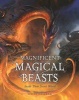 Magnificent Magical Beasts - Inside Their Secret World (Hardcover) - Simon Holland Photo