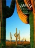 Saguaro - The Desert Giant (Paperback) - Anna Humphreys Photo