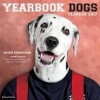 2017 Yearbook Dogs Wall Calendar (Calendar) - Willow Creek Press Photo