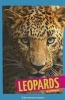 Leopards (Paperback) - Arnold Ringstad Photo