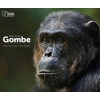 Tales from Gombe (Hardcover) - Anup Shah Photo