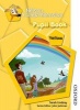 Nelson Comprehension Pupil Book Yellow (Paperback, New Ed) - Sarah Lindsay Photo