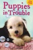 Puppies in Trouble - Puppies in the Pantry & Puppy in a Puddle (Paperback) - Lucy Daniels Photo