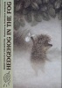 Hedgehog in the Fog (Hardcover) - Yuri Norstein Photo