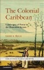 The Colonial Caribbean - Landscapes of Power in Jamaica's Plantation System (Hardcover) - James A Delle Photo