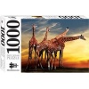 Giraffes, Africa - Mindbloggers 1000-Piece Jigsaws (Counterpack  filled) -  Photo