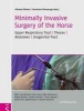 Minimally Invasive Surgery of the Horse (Hardcover) - Claus Peter Bartmann Photo