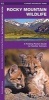 Rocky Mountain Wildlife - A Folding Pocket Guide to Familiar Species (Pamphlet) - James Kavanagh Photo