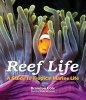 Reef Life - A Guide to Tropical Marine Life (Paperback, New) - Brandon Cole Photo