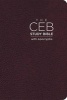 The Ceb Study Bible with Apocrypha Bonded Leather Cordovan (Leather / fine binding) - Common English Bible Photo